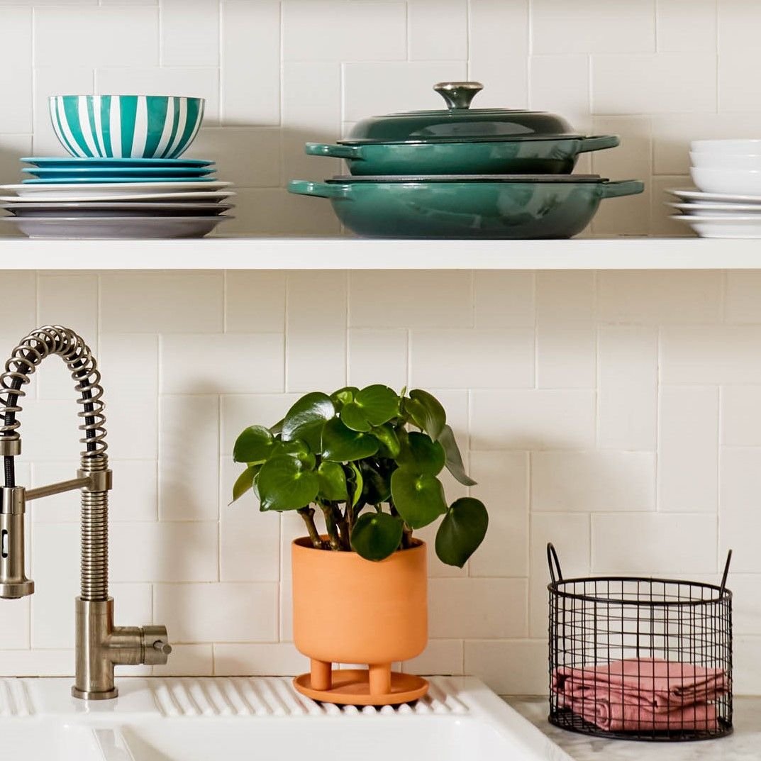 Le Creuset 3.5 Qt. Signature Braiser with Stainless Steel Knob | Artichaut Le Creuset 3.5 Qt. Signature Braiser With Stainless Steel Knob | Artichaut -Le Creuset sales art