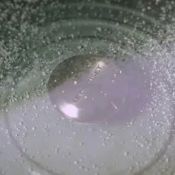 Le Creuset 5.5 Qt. Round Signature Dutch Oven With Stainless Steel Knob | Sea Salt -Le Creuset sales maxresdefault 132 33